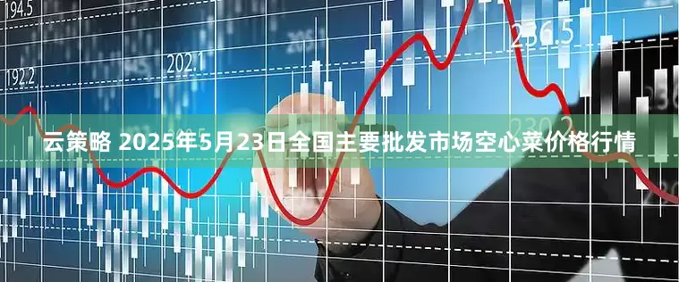 云策略 2025年5月23日全国主要批发市场空心菜价格行情