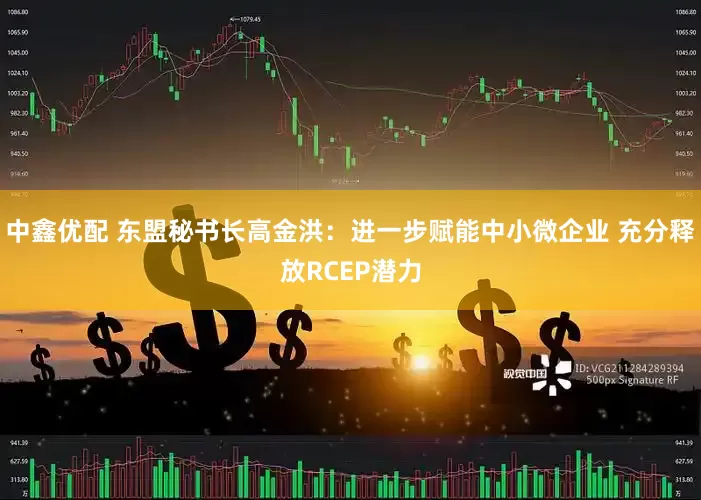 中鑫优配 东盟秘书长高金洪：进一步赋能中小微企业 充分释放RCEP潜力