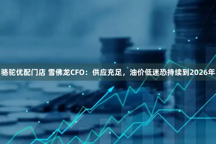骆驼优配门店 雪佛龙CFO：供应充足，油价低迷恐持续到2026年