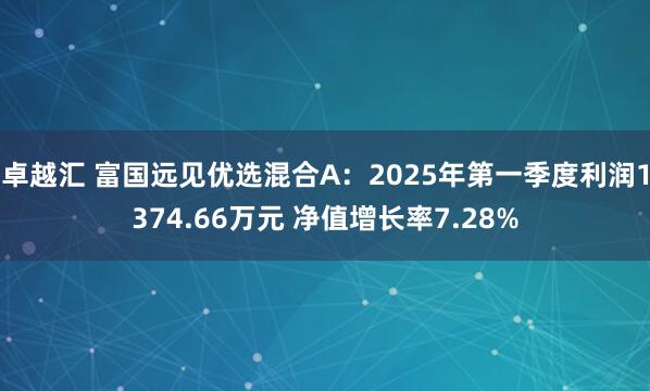 卓越汇 富国远见优选混合A：2025年第一季度利润1374.66万元 净值增长率7.28%