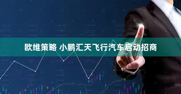 欧维策略 小鹏汇天飞行汽车启动招商