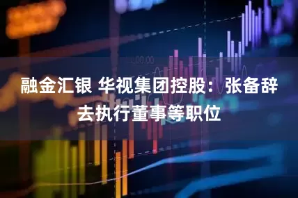 融金汇银 华视集团控股：张备辞去执行董事等职位